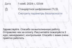 screenshot_20241105_201826-kopiya_2025-03-20_12-07-23