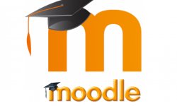 Отчет по практике в Moodle