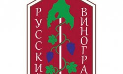 Отчет по практике в ВНИИВиВ имени Я.И. Потапенко