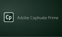 Отчет по практике в Adobe Captivate Prime